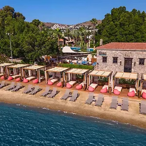 book here